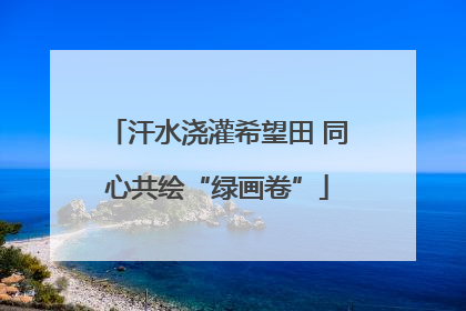 汗水浇灌希望田 同心共绘“绿画卷”